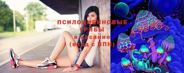а пвп мука Гусев